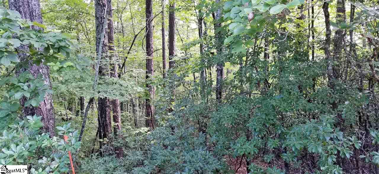 0 Loop Lane Cleveland, SC 29635 - Photo 3 of 7 Gallery Image 3