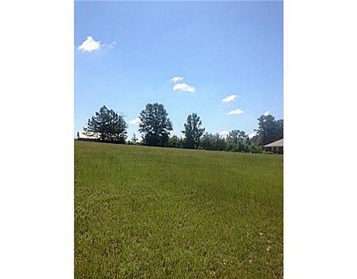 6.6-ac Green Road Lucedale, MS 39452 - Photo 3 of 10 Additional Photo