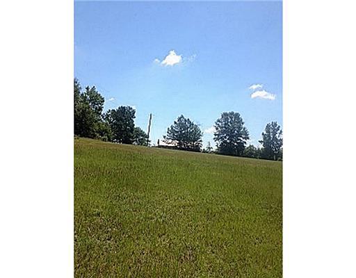 6.6-ac Green Road Lucedale, MS 39452 - Photo 4 of 10 Additional Photo