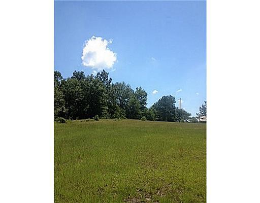 6.6-ac Green Road Lucedale, MS 39452 - Photo 5 of 10 Additional Photo