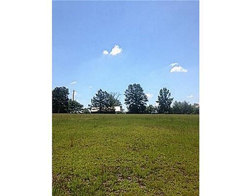 6.6-ac Green Road Lucedale, MS 39452 - Photo 6 of 10 Additional Photo