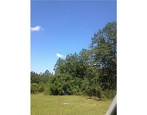 6.6-ac Green Road Lucedale, MS 39452 - Photo 8 of 10 Additional Photo