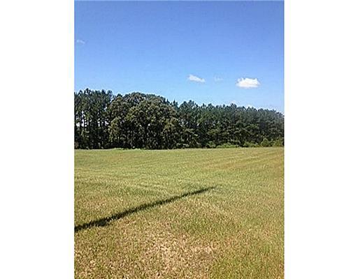 6.6-ac Green Road Lucedale, MS 39452 - Photo 10 of 10 Additional Photo