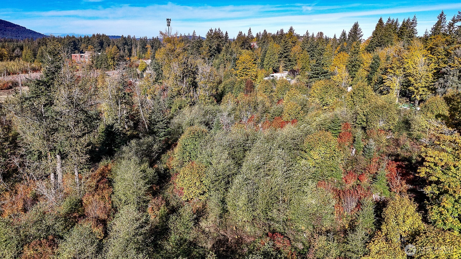 34700 Southeast 99th Street Snoqualmie, WA 98065 - Photo 7 of 16