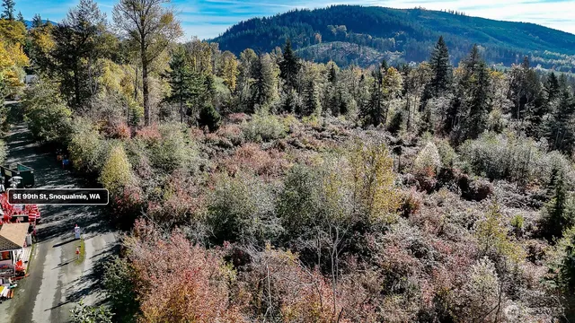 a view of a forest with a forest
