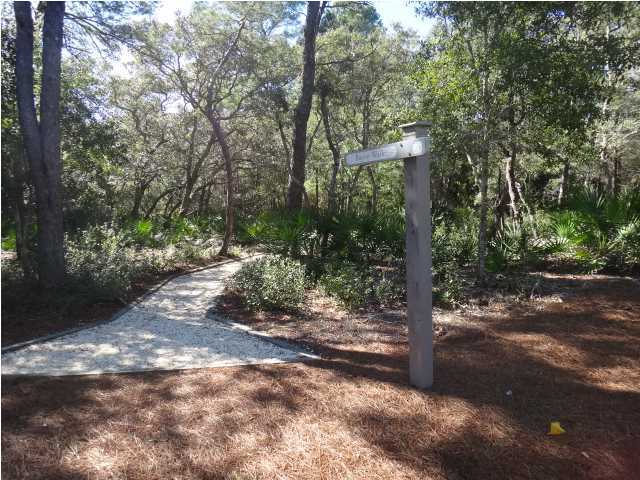 33 Bosk Lane Santa Rosa Beach, FL 32459 - Photo 3 of 4 Additional Photo