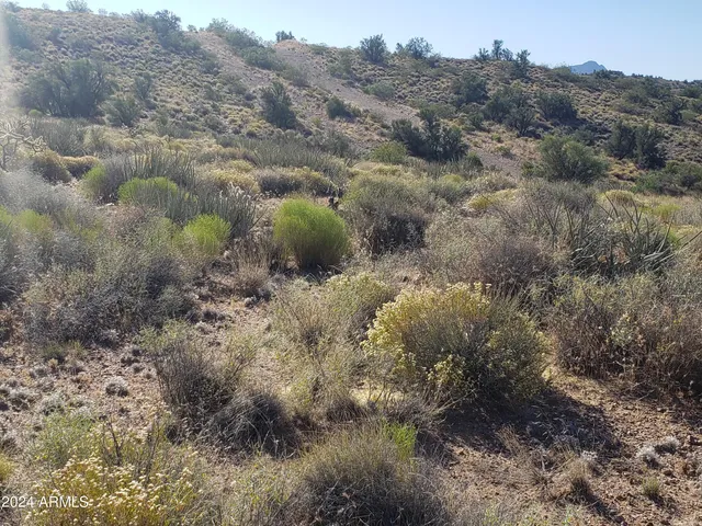 $29,900 | Xxxx East Xxxx E Pipeline Road, Kingman, AZ 86401