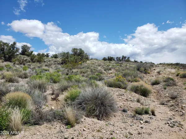 $29,850 | Xxxx East Xxxx E Pipeline Road, Kingman, AZ 86401