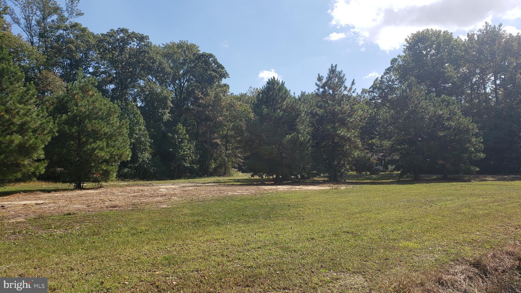 Lot 24 Log Cabin Road Milford, DE 19963 - Photo 4 of 7 Gallery Image 4