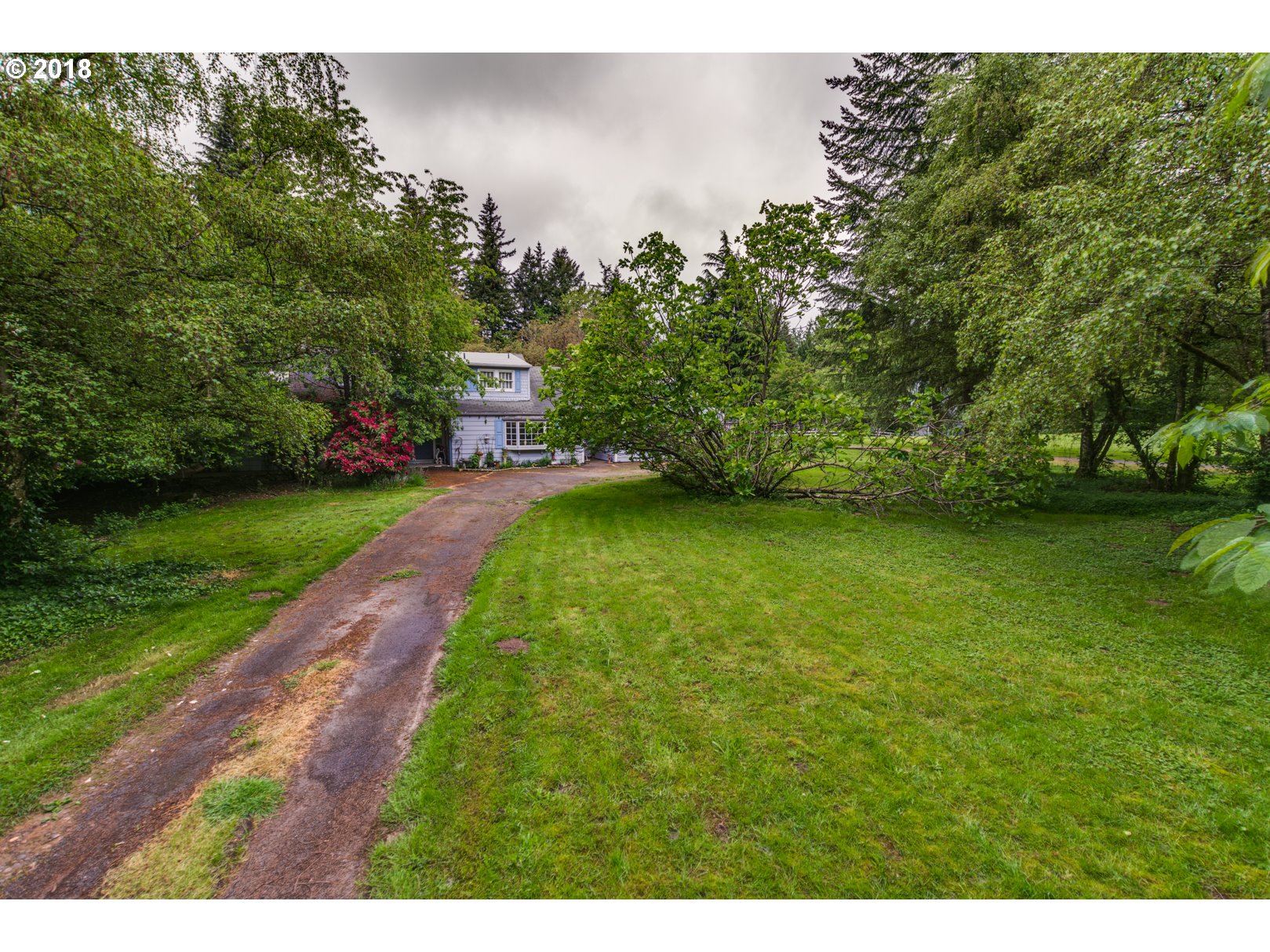 5735 Southwest Brugger Street Portland, OR 97219 - Photo 16 of 18 Yard