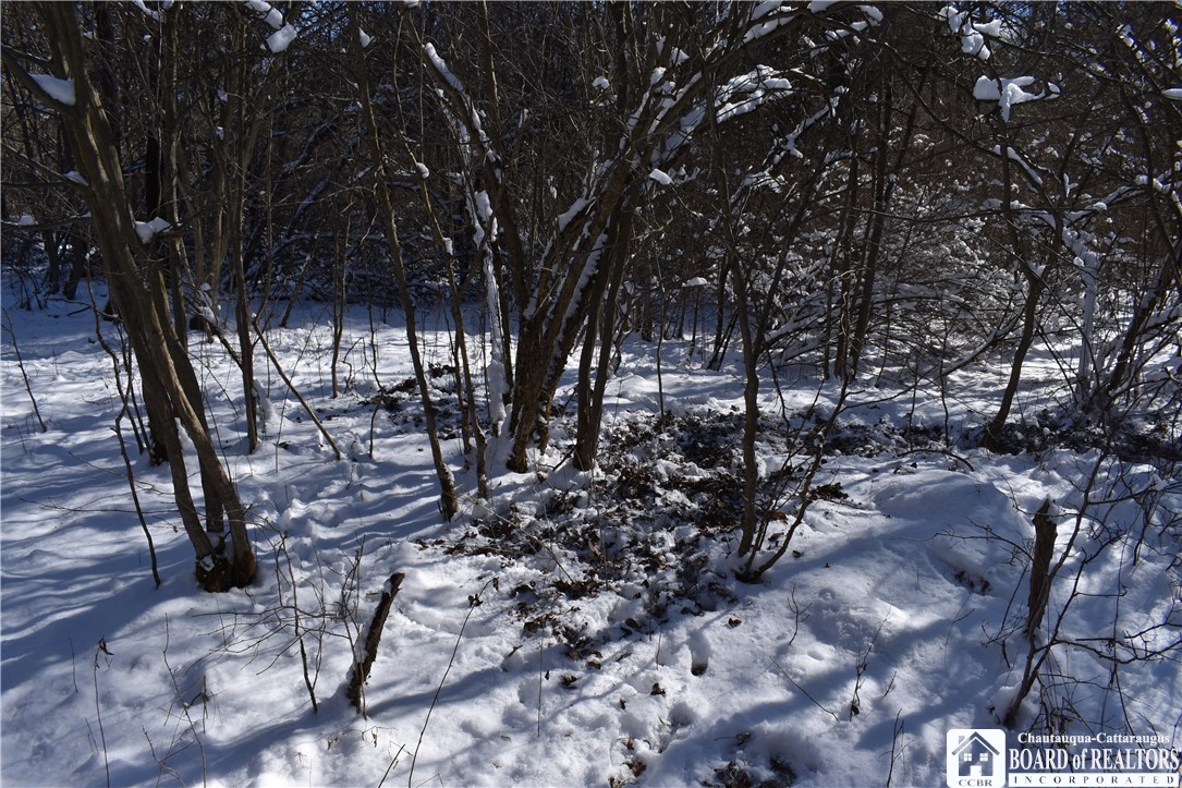 1197 Lyndon Road Lyndon, NY 14737 - Photo 1 of 1 Gallery Image 1