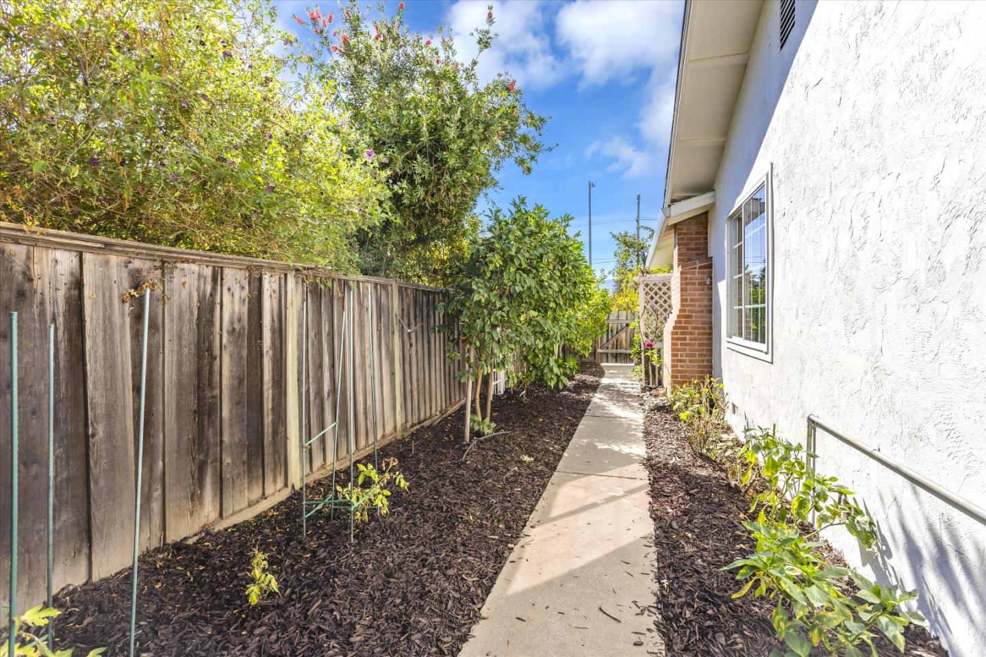 6367 Prospect Road San Jose, CA 95129 - Photo 32 of 33 a view of a pathway with a flower in a corridor