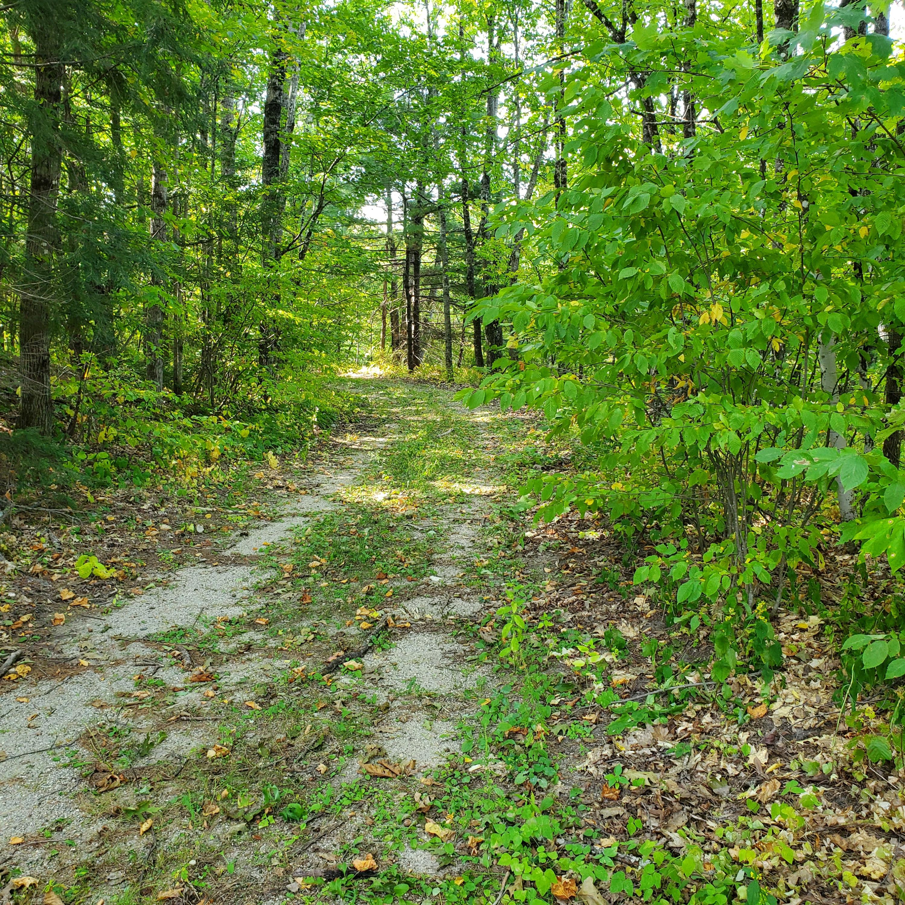 0 Skeetfield Road Oxford, ME 04270 - Photo 2 of 16 20200923_104151