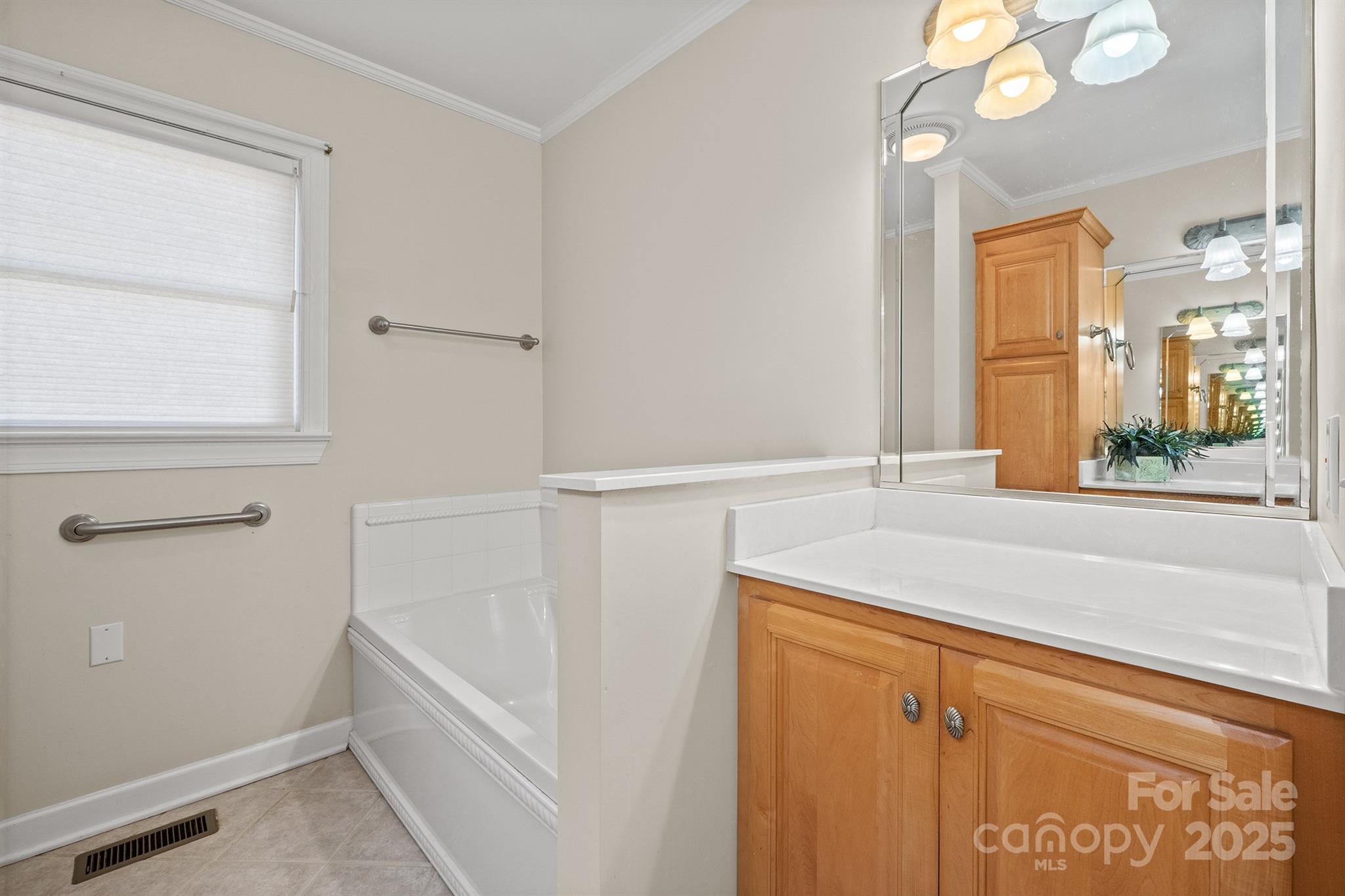 484 Stutts Road Mooresville, NC 28117 - Photo 19 of 28 a bathroom with a sink and a bathtub