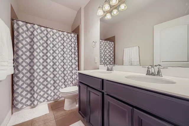 a bathroom with a sink a toilet a mirror and shower curtain