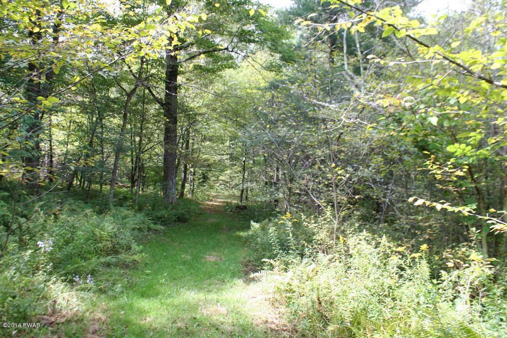 94 Hathaway Road Equinunk, PA 18417 - Photo 9 of 19