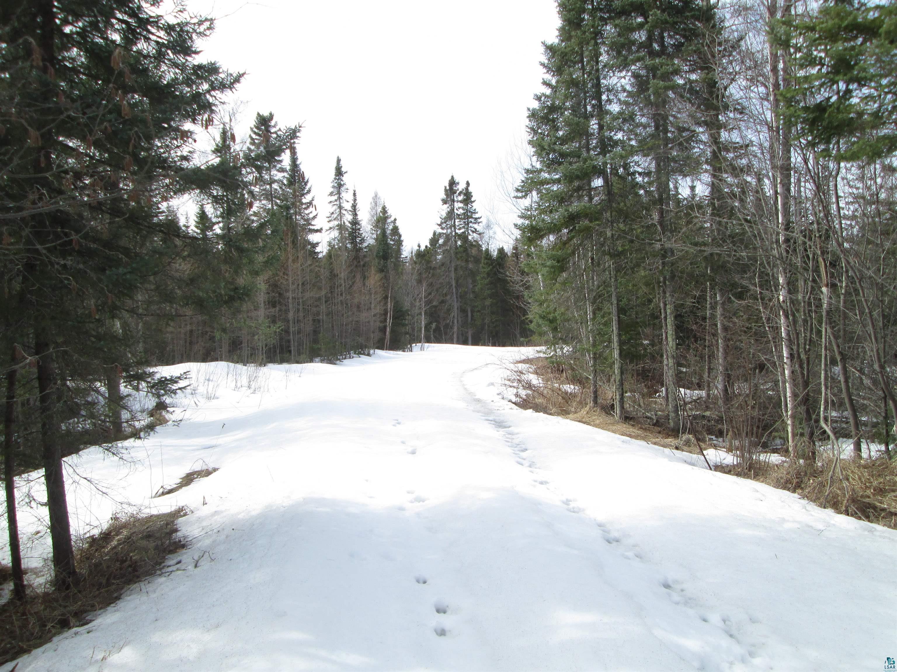 Lot 2-40 Acres County Road South Range, WI 54874 - Photo 6 of 11