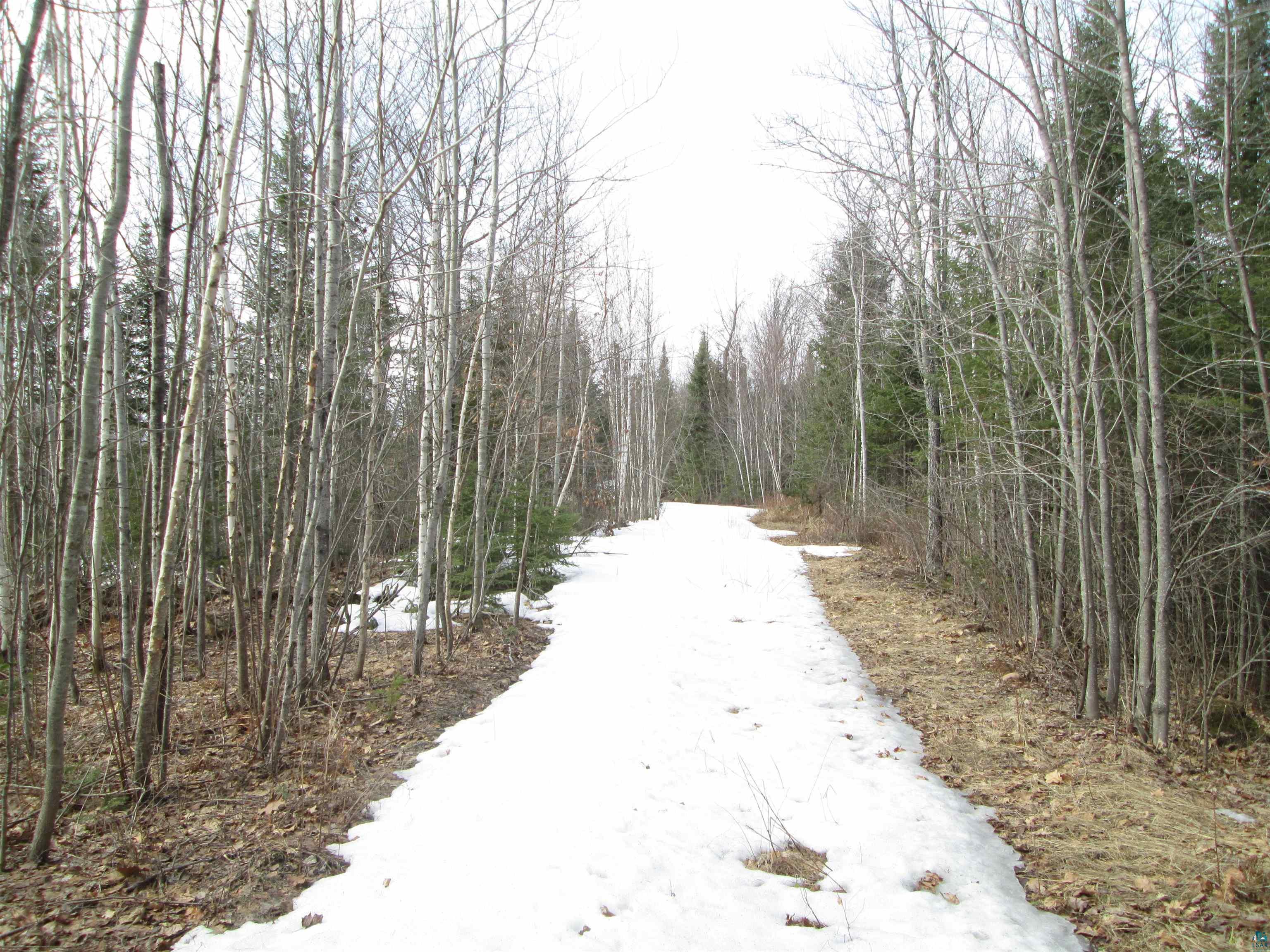 Lot 2-40 Acres County Road South Range, WI 54874 - Photo 9 of 11