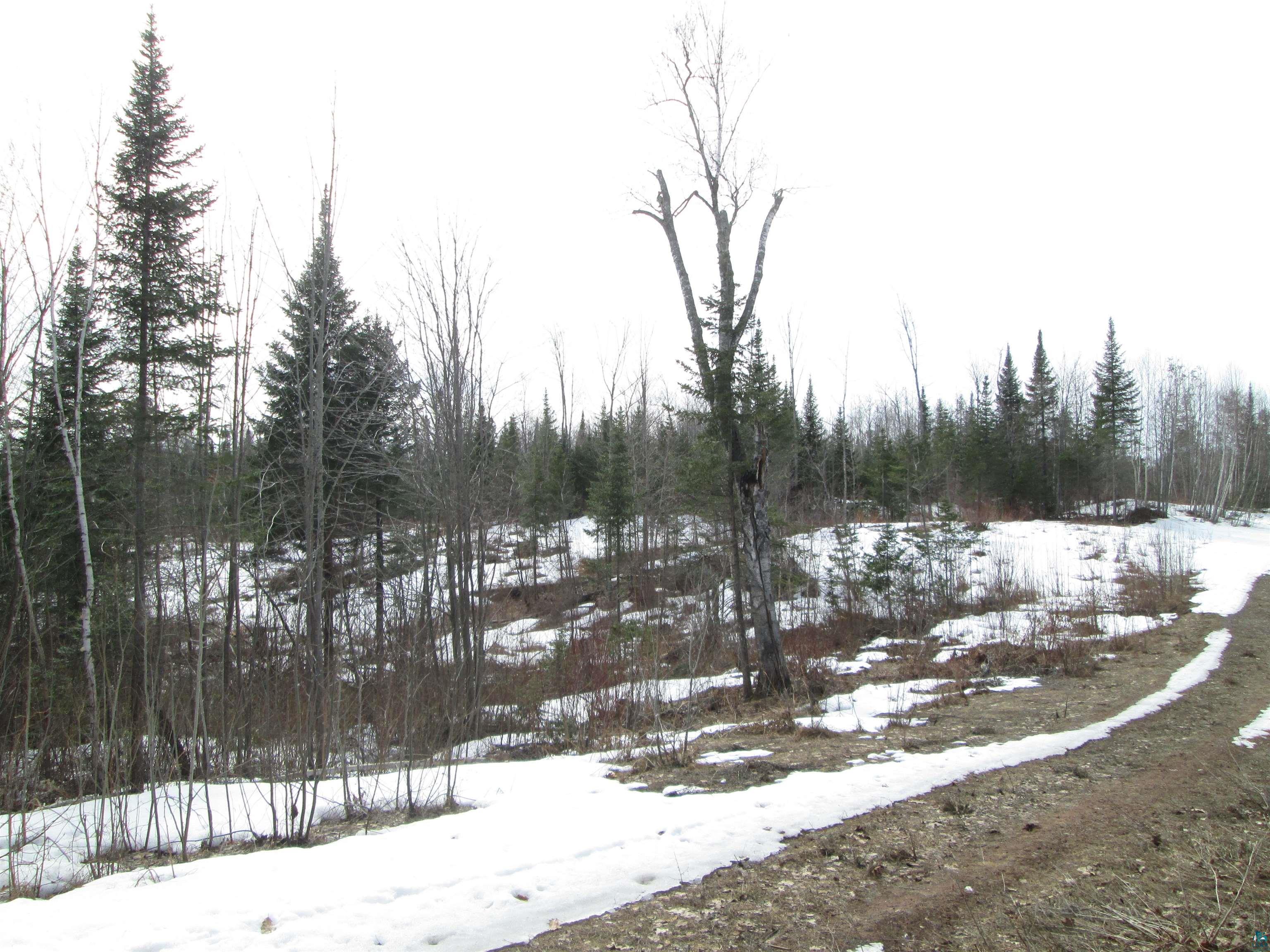 Lot 2-40 Acres County Road South Range, WI 54874 - Photo 10 of 11