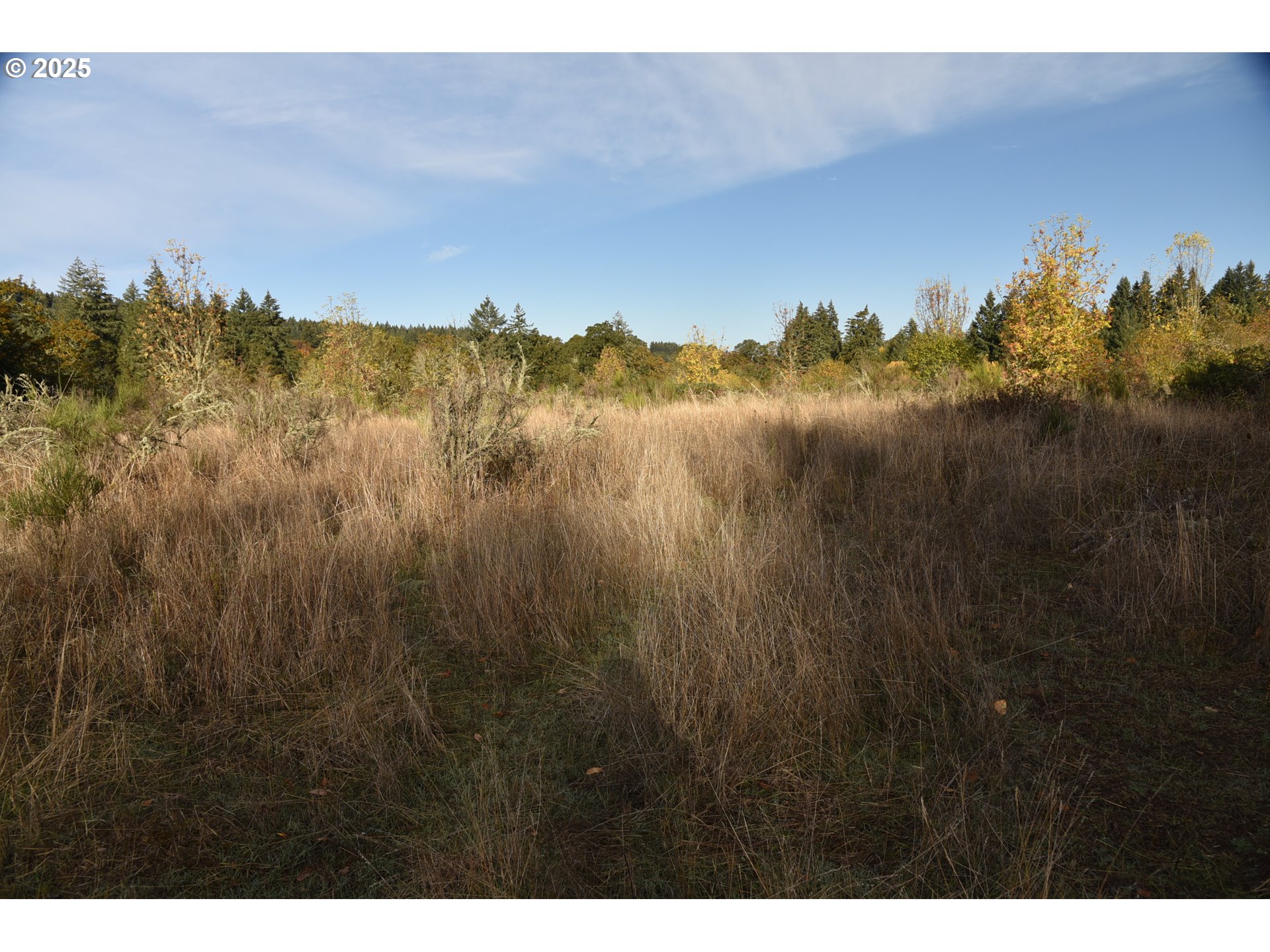 0 Mill Creek Road Dallas, OR 97338 - Photo 3 of 6 Gallery Image 3