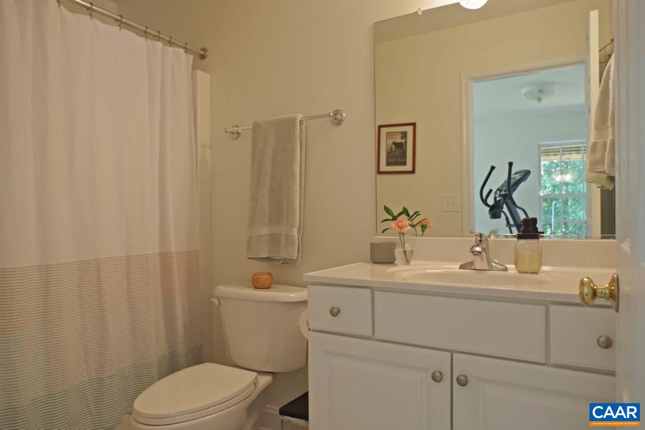 2059 Ridgetop Drive Charlottesville, VA 22903 - Photo 62 of 68 a bathroom with a sink a toilet and shower