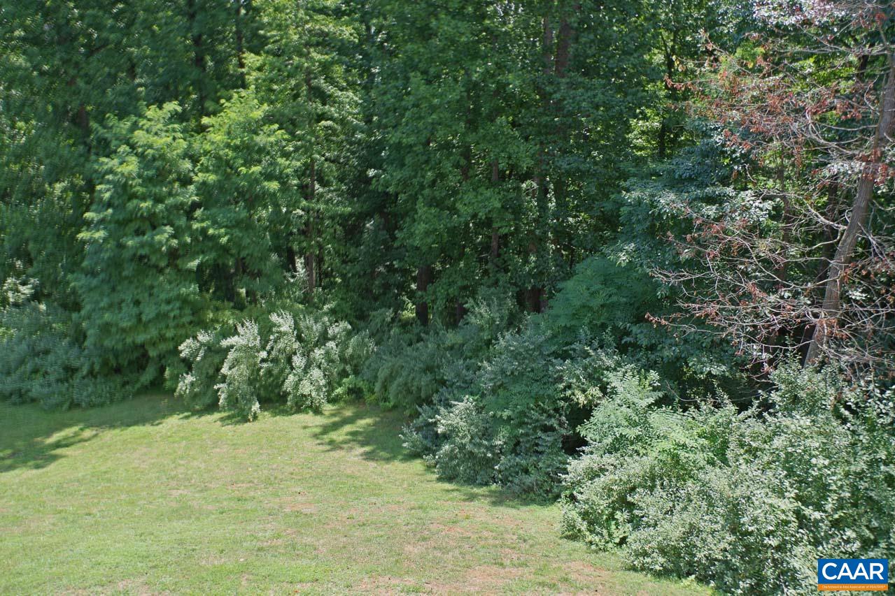 2059 Ridgetop Drive Charlottesville, VA 22903 - Photo 66 of 68 a view of a yard with a tree