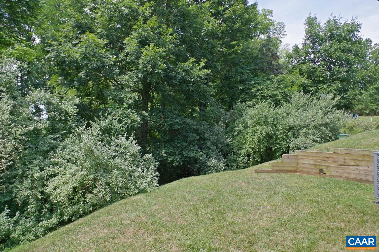 2059 Ridgetop Drive Charlottesville, VA 22903 - Photo 67 of 68 a view of a yard with a tree
