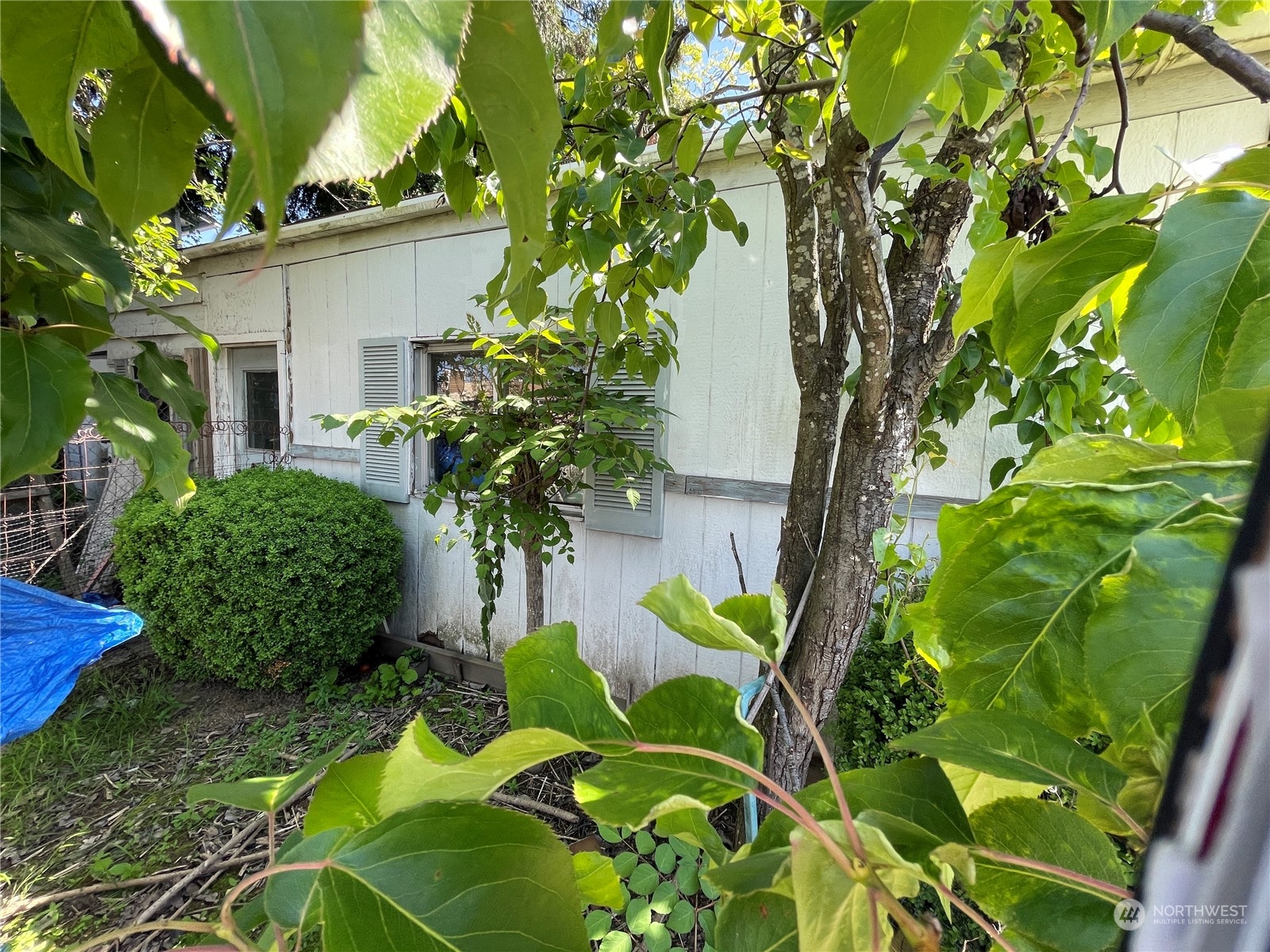 4210 South Myrtle Street Seattle, WA 98118 - Photo 2 of 8