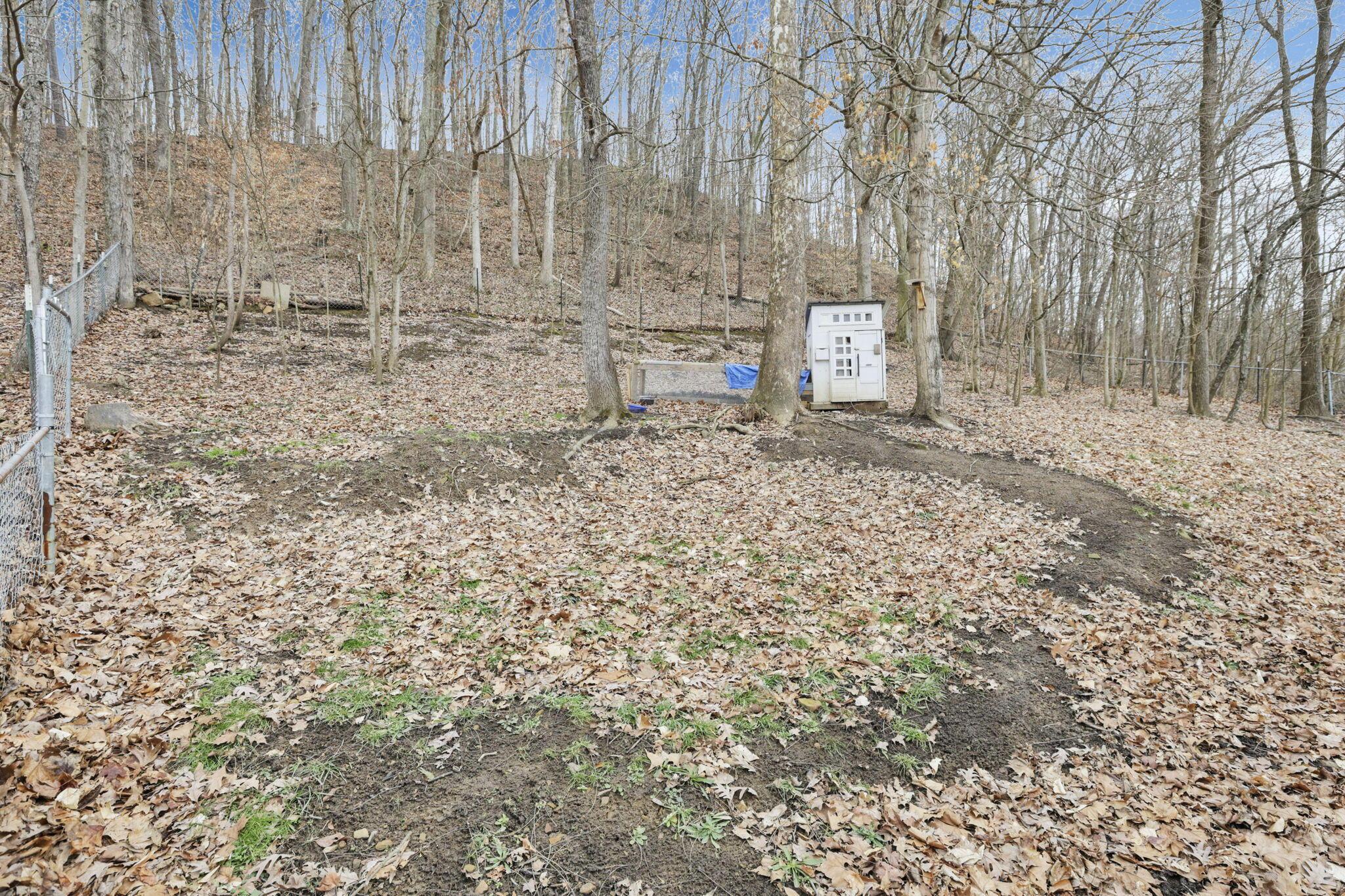 10960 Voris Road Logan, OH 43138 - Photo 42 of 65 41-web-or-mls-939A6739