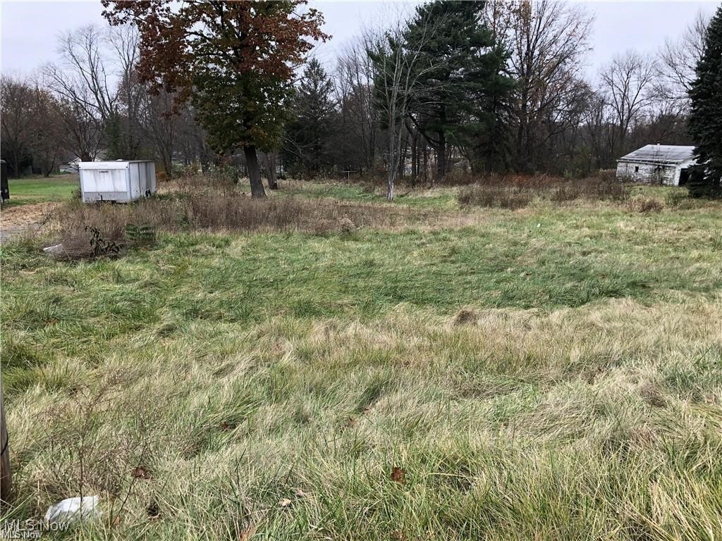 498-514 Niles Cortland Road Southeast Warren, OH 44484 - Photo 3 of 3 View of yard