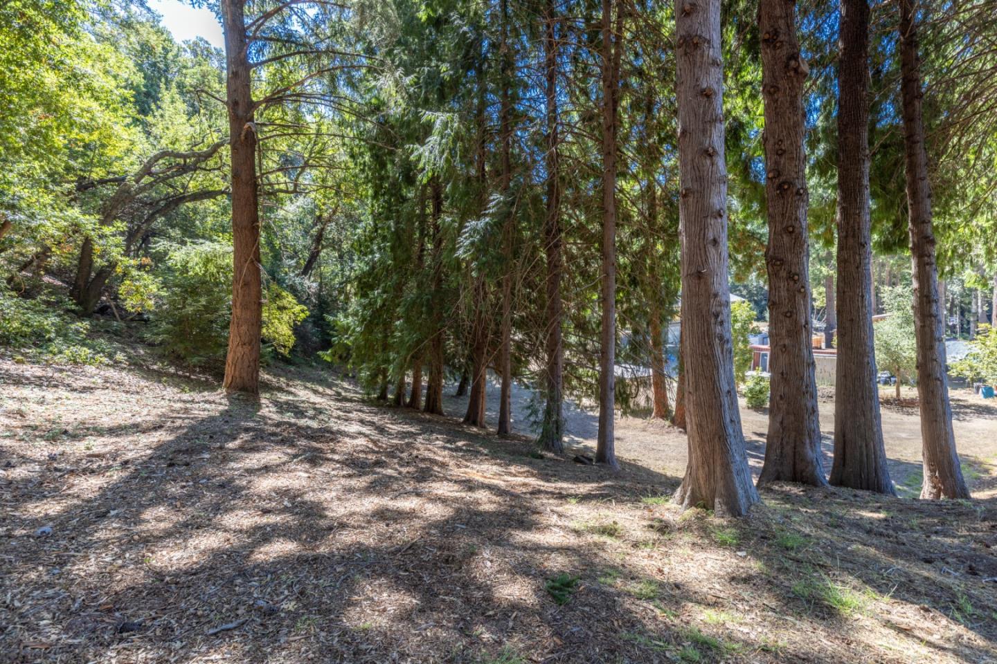 14233 Long Ridge Road Los Gatos, CA 95033 - Photo 8 of 14 a view of a forest with trees in the background