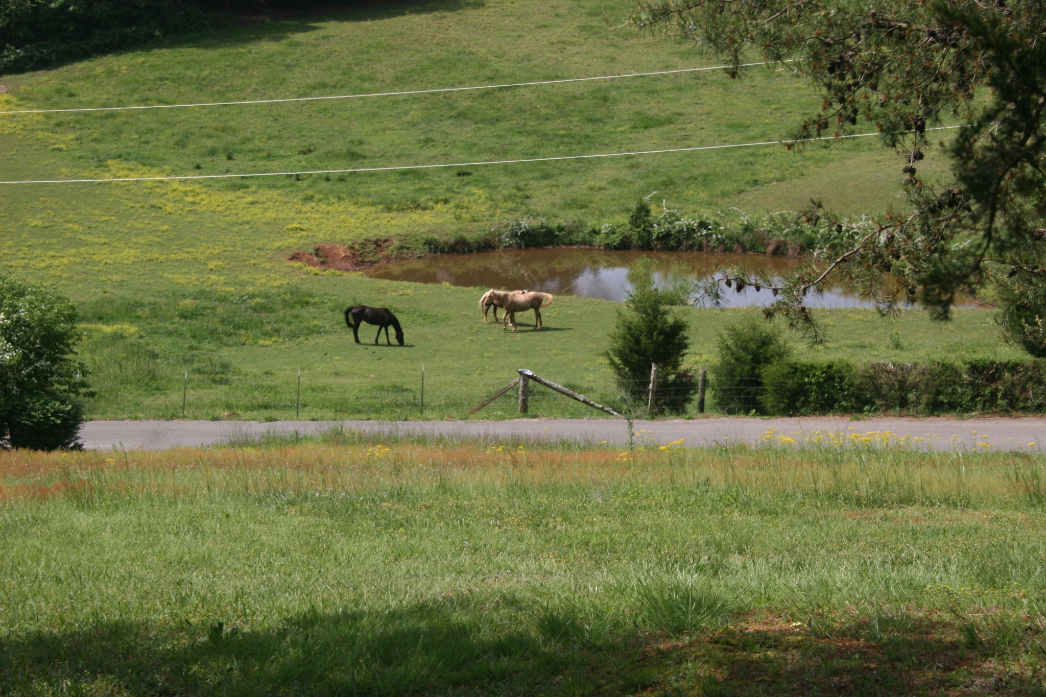 2815 Kiser Road Philadelphia, TN 37846 - Photo 21 of 32 Gallery Image 21
