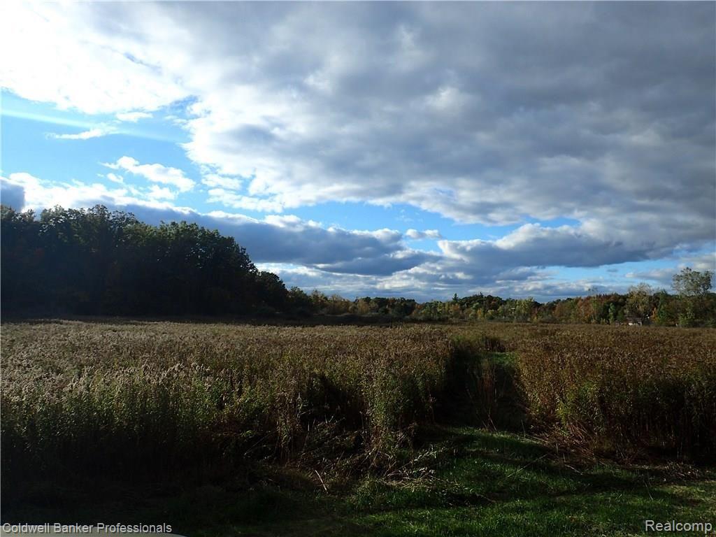 0 Dockham Road Columbiaville, MI 48421 - Photo 1 of 20