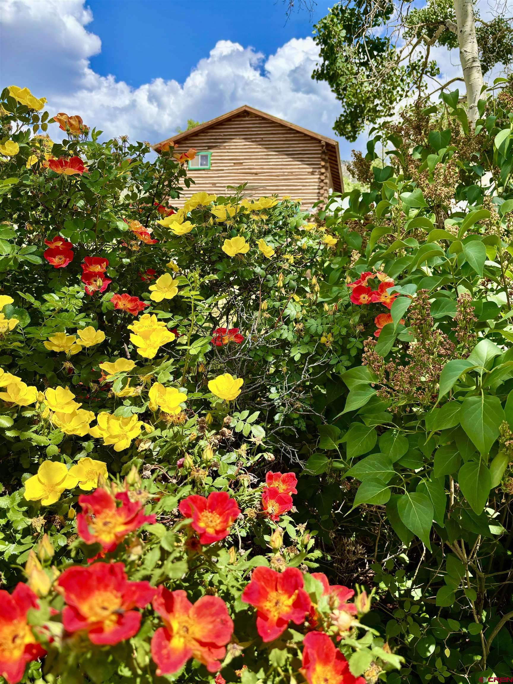 16 Arellano Road, Unit TRES CUERDAS LODGE Amalia, NM 87512 - Photo 11 of 45