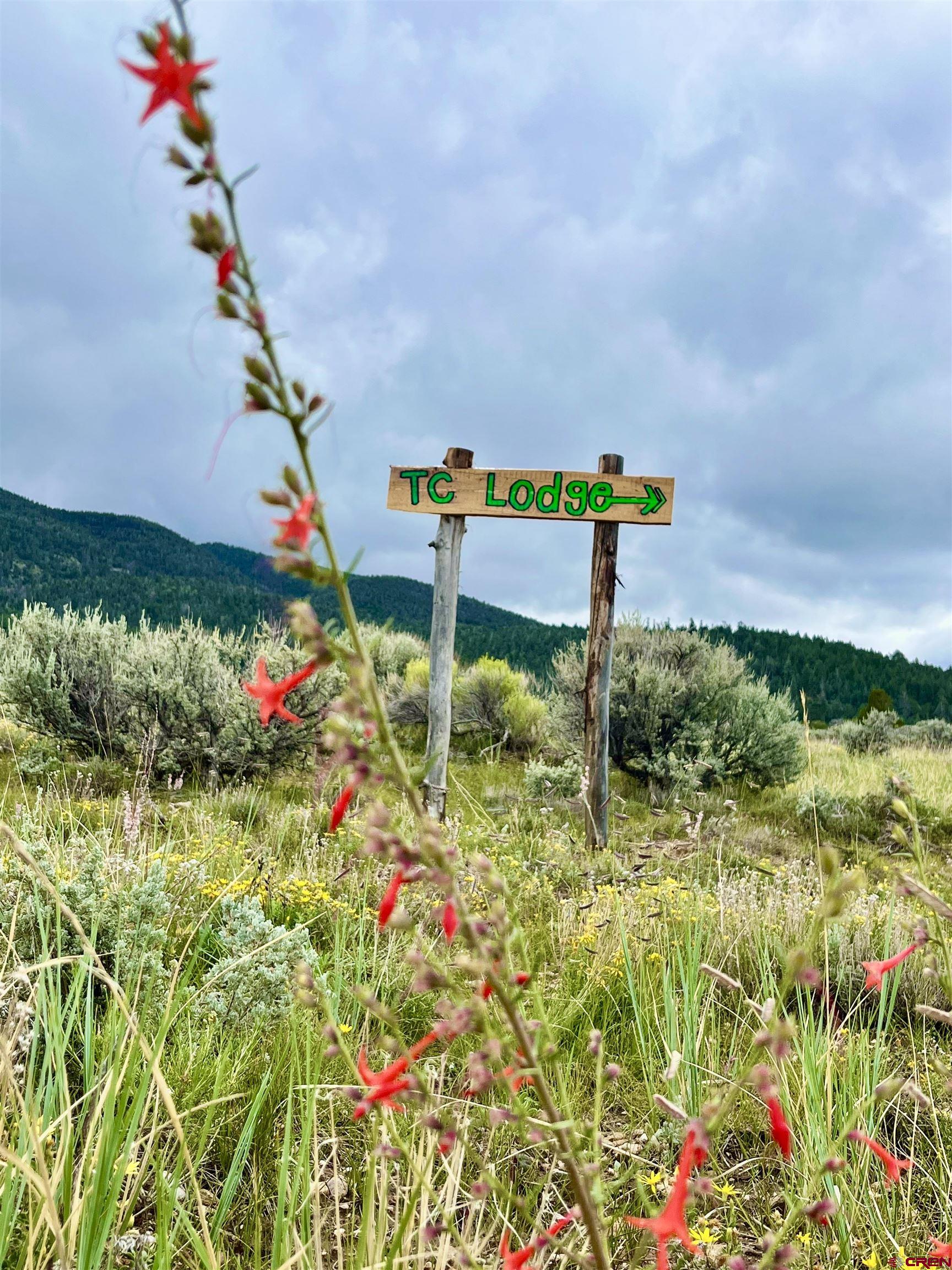16 Arellano Road, Unit TRES CUERDAS LODGE Amalia, NM 87512 - Photo 13 of 45