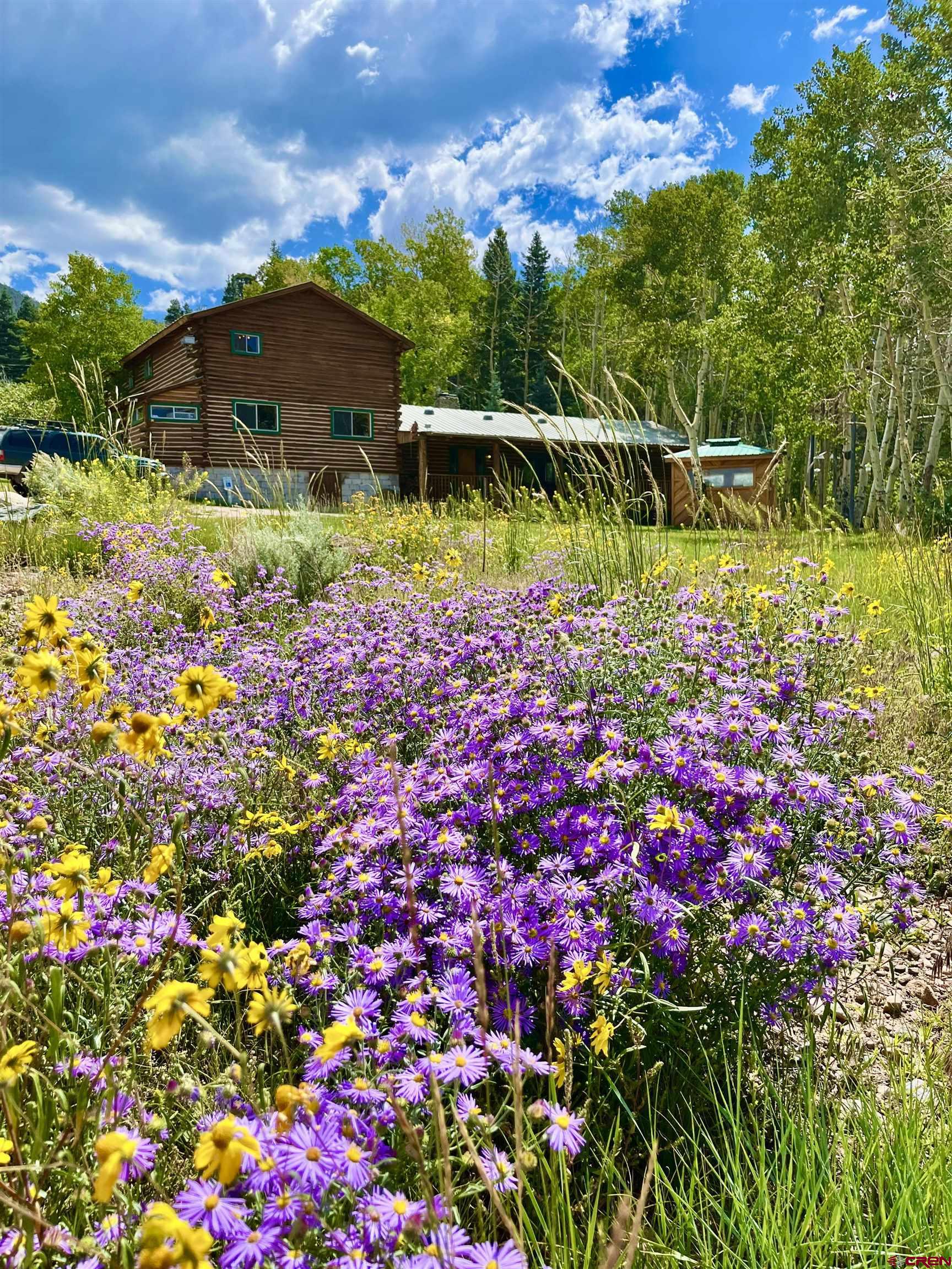 16 Arellano Road, Unit TRES CUERDAS LODGE Amalia, NM 87512 - Photo 14 of 45 a view of a large yard with swimming pool