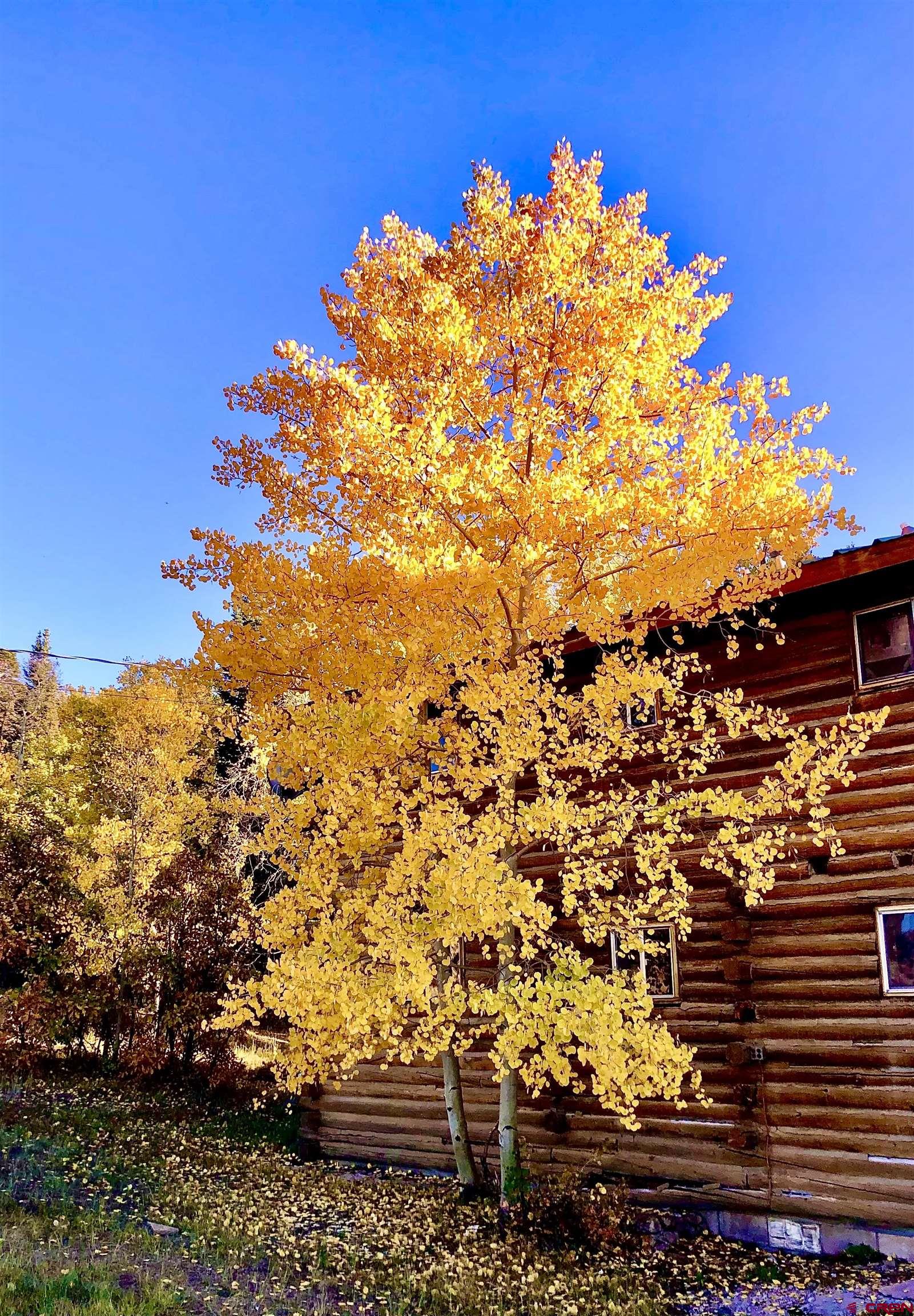 16 Arellano Road, Unit TRES CUERDAS LODGE Amalia, NM 87512 - Photo 24 of 45 a view of a bunch of trees and houses