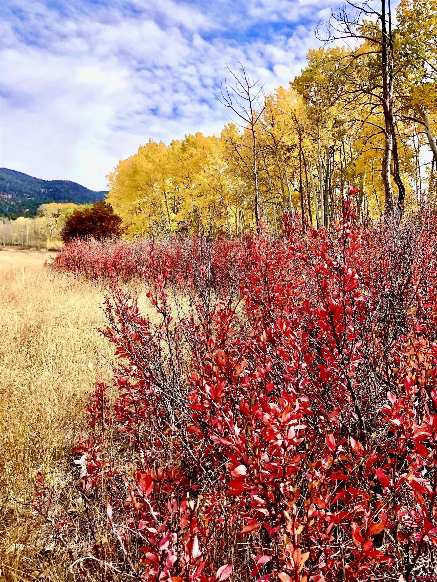 16 Arellano Road, Unit TRES CUERDAS LODGE Amalia, NM 87512 - Photo 25 of 45 a view of ocean