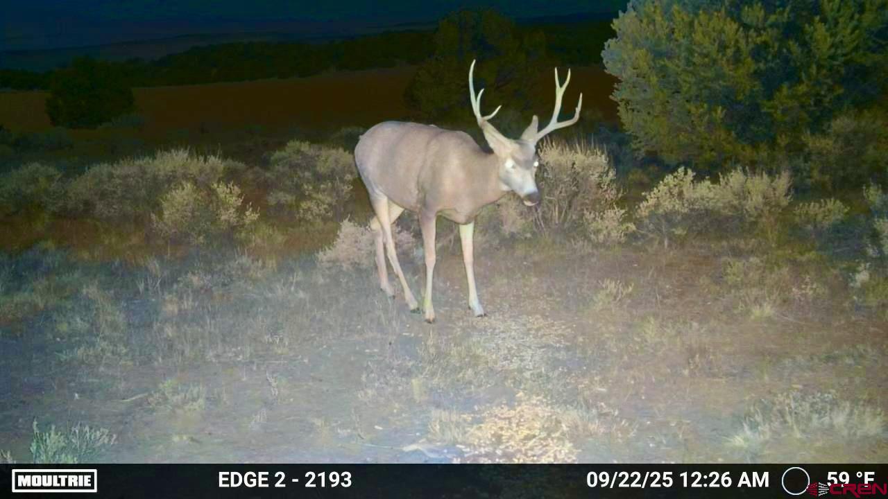 16 Arellano Road, Unit TRES CUERDAS LODGE Amalia, NM 87512 - Photo 26 of 45 a view of a lake