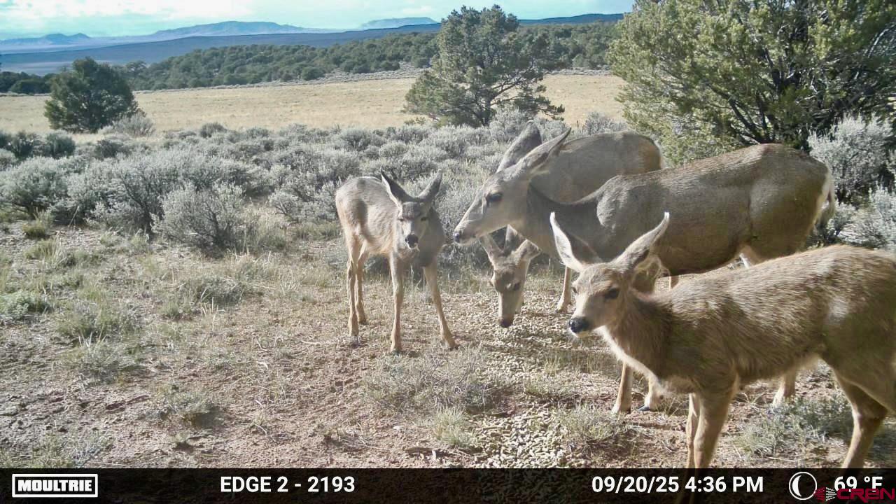 16 Arellano Road, Unit TRES CUERDAS LODGE Amalia, NM 87512 - Photo 28 of 45 a view of outdoor space