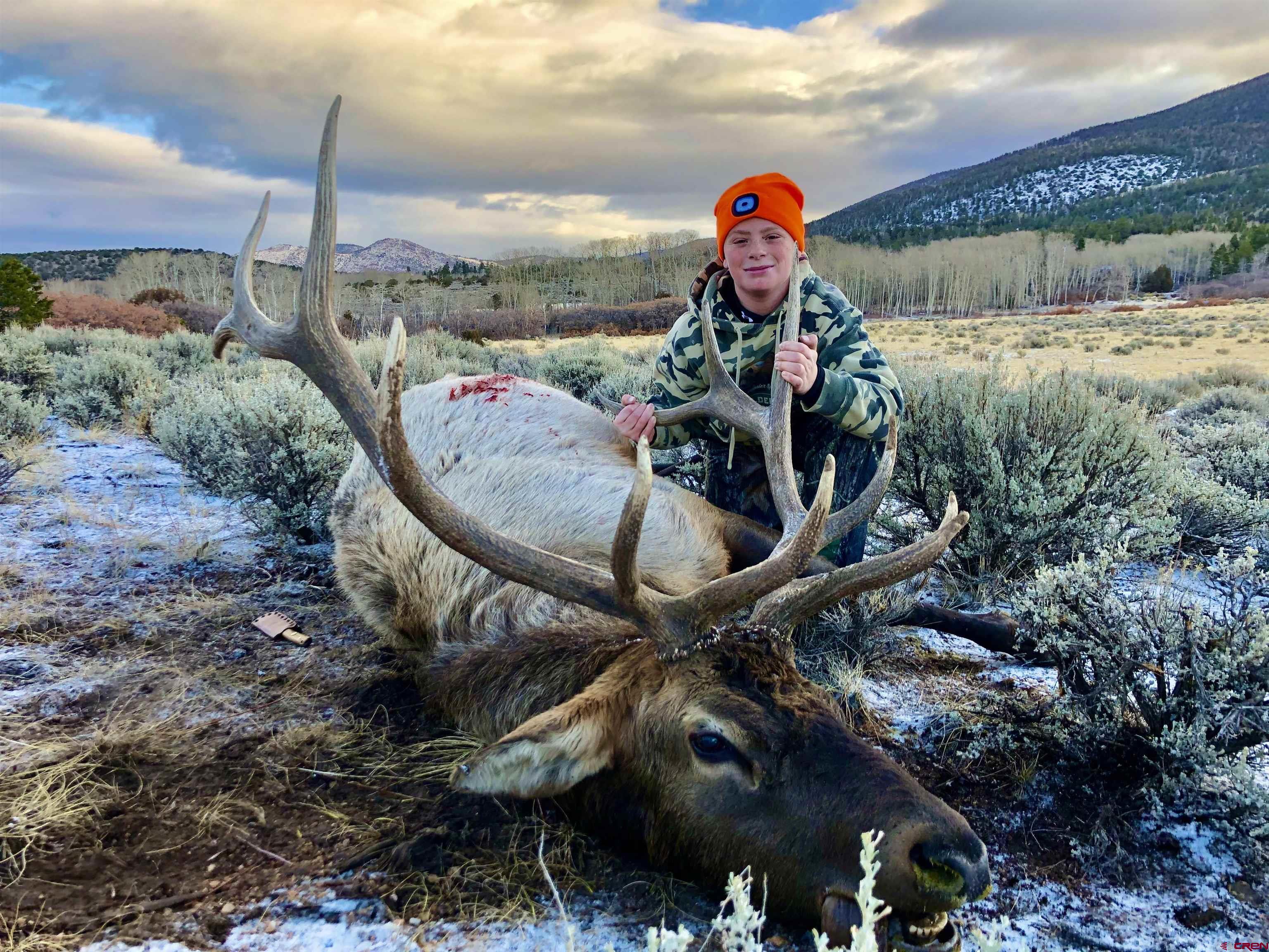 16 Arellano Road, Unit TRES CUERDAS LODGE Amalia, NM 87512 - Photo 3 of 45 a backyard of a house with table and chairs