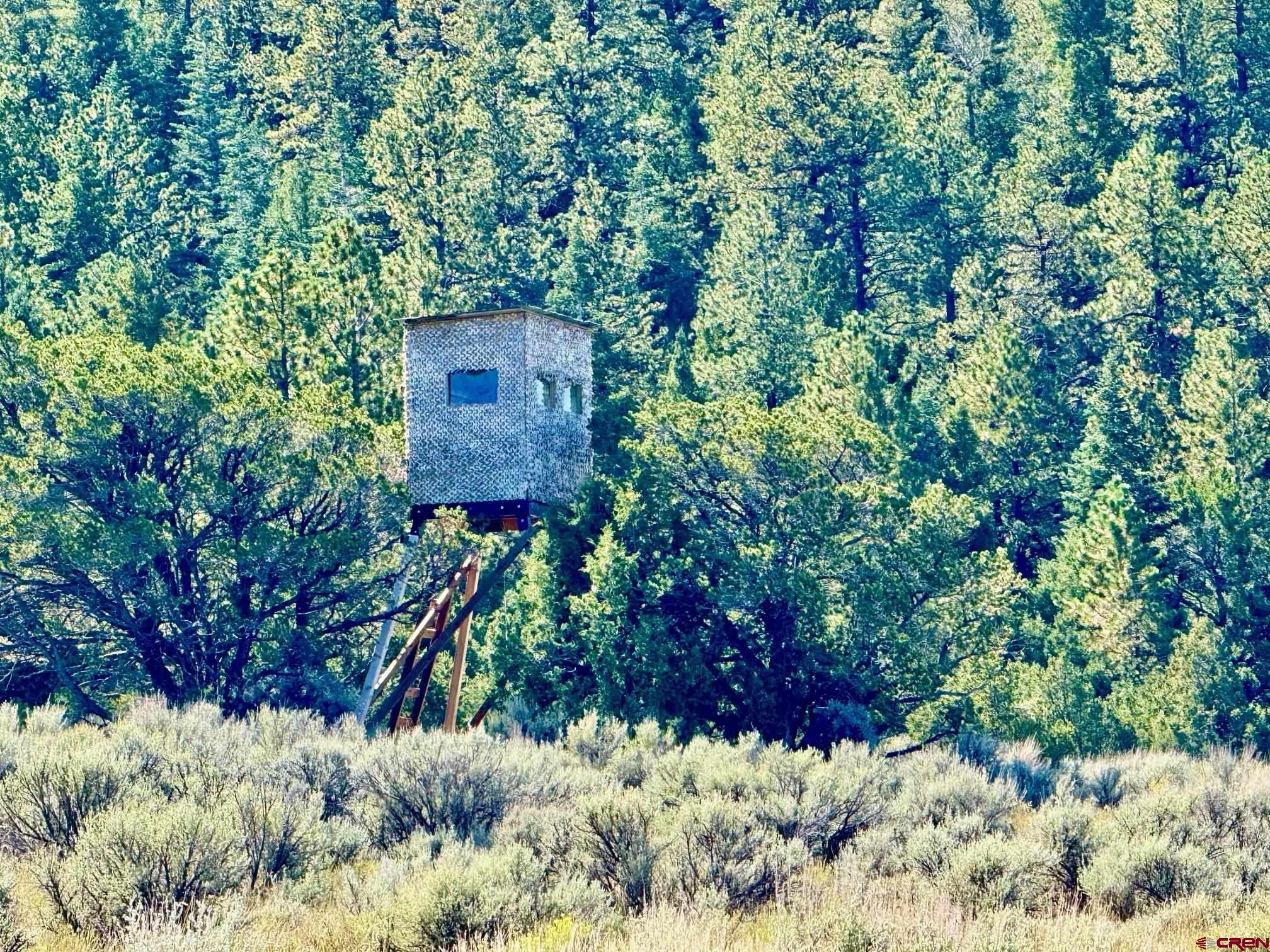 16 Arellano Road, Unit TRES CUERDAS LODGE Amalia, NM 87512 - Photo 42 of 45 a view of a back yard