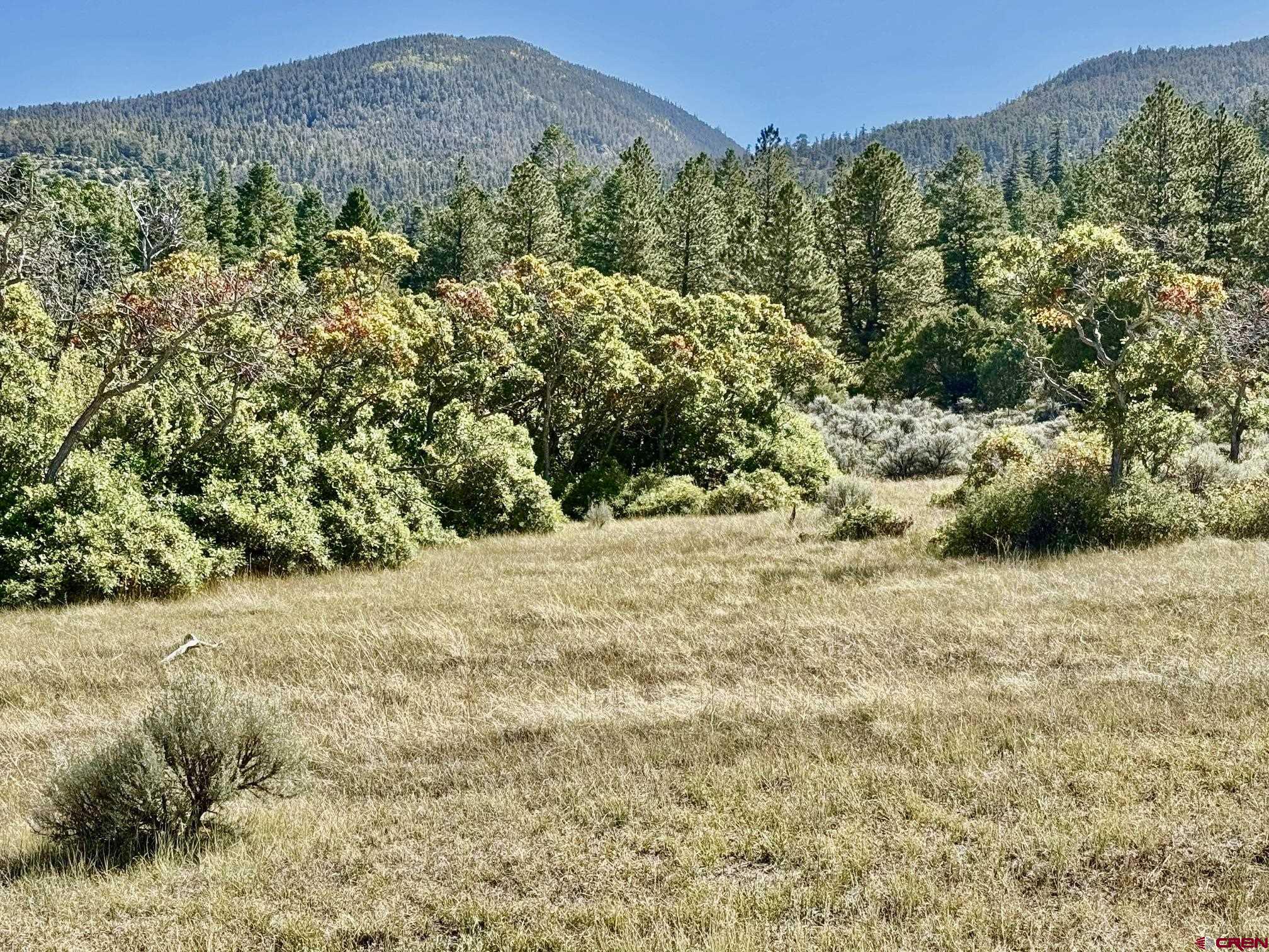 16 Arellano Road, Unit TRES CUERDAS LODGE Amalia, NM 87512 - Photo 43 of 45 a view of a yard with a tree