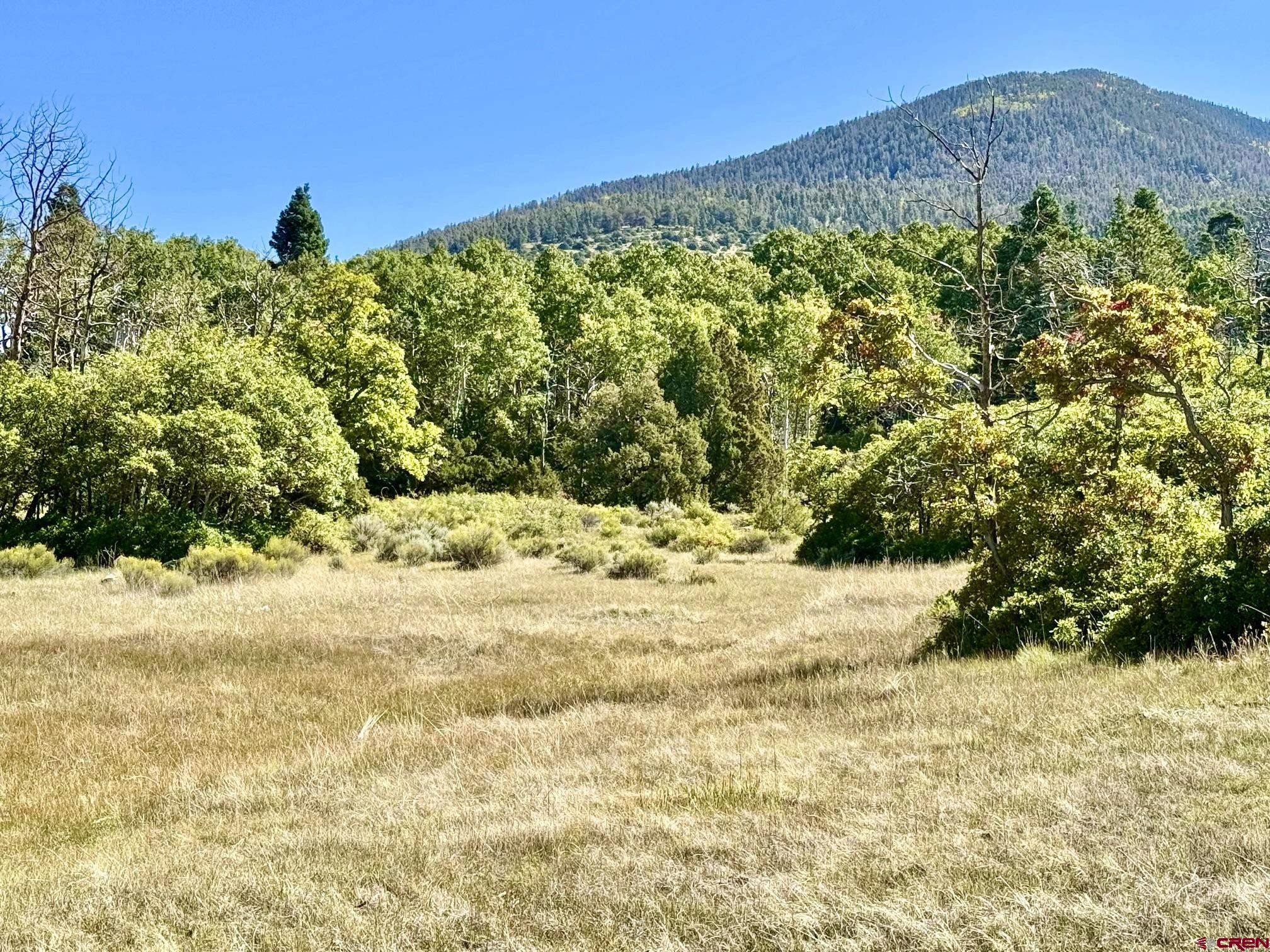 16 Arellano Road, Unit TRES CUERDAS LODGE Amalia, NM 87512 - Photo 45 of 45 a view of a large yard with a tree