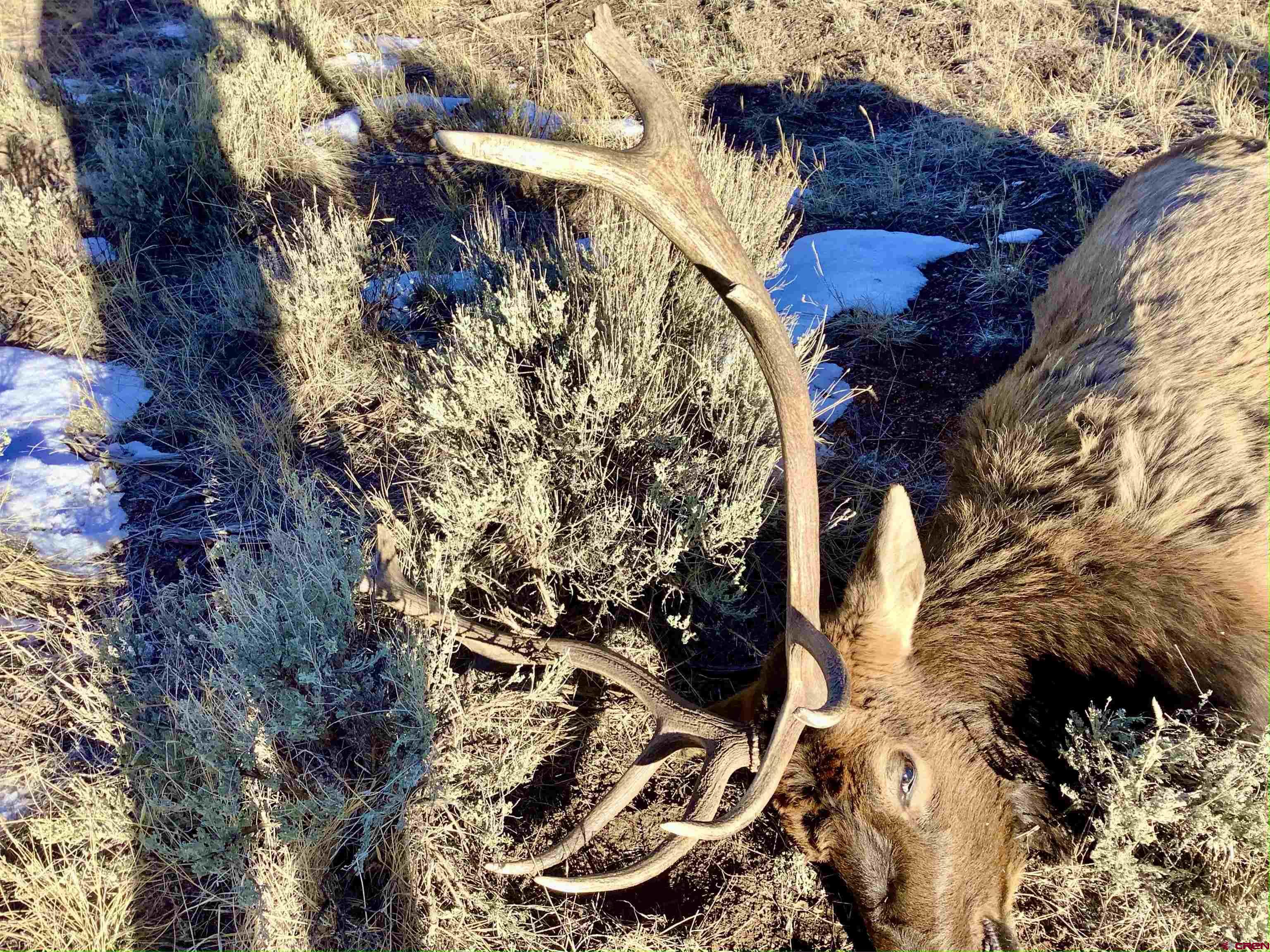 16 Arellano Road, Unit TRES CUERDAS LODGE Amalia, NM 87512 - Photo 5 of 45 a view of outside house