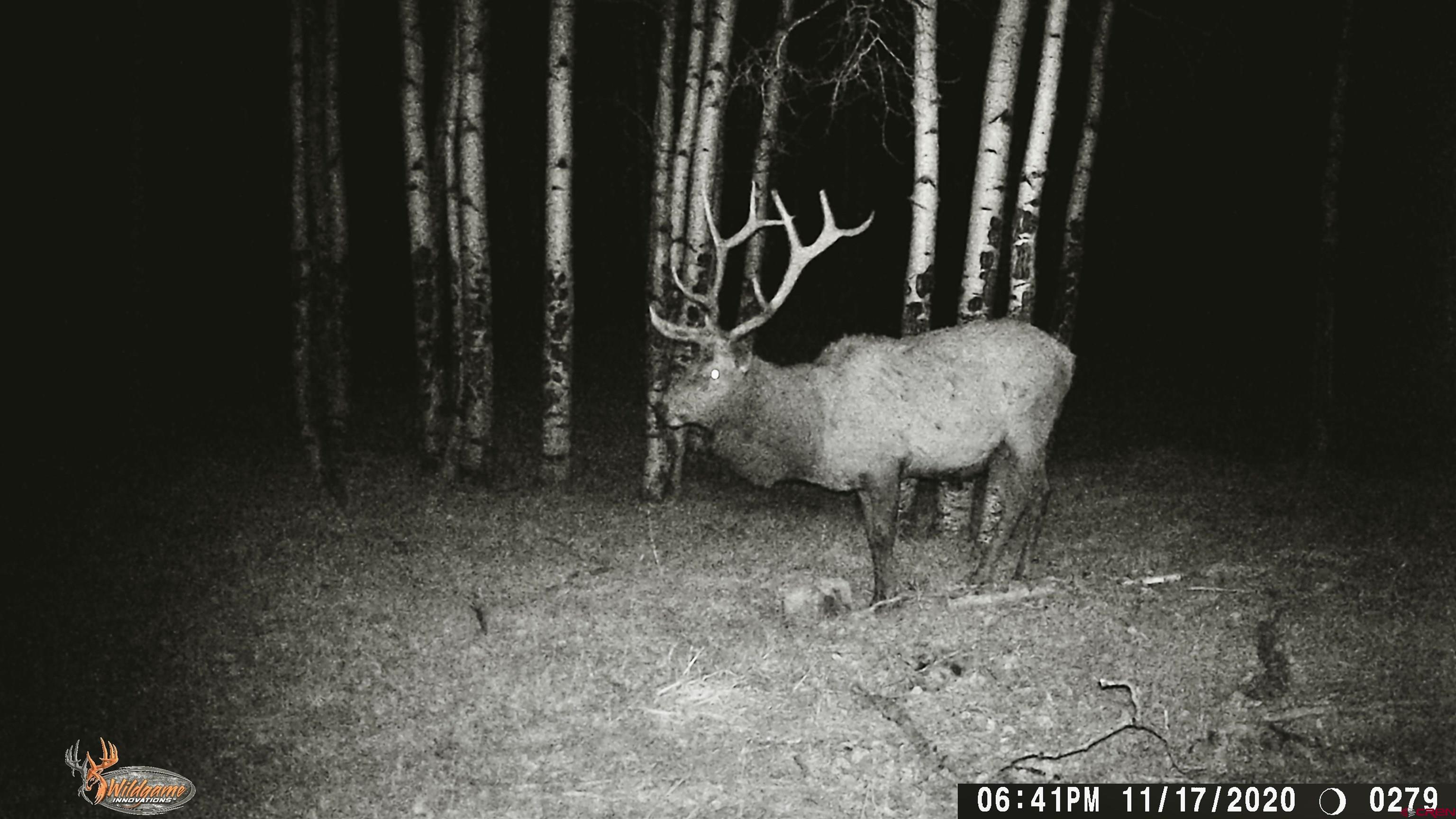 16 Arellano Road, Unit TRES CUERDAS LODGE Amalia, NM 87512 - Photo 7 of 45 a view of a balcony with table & chairs