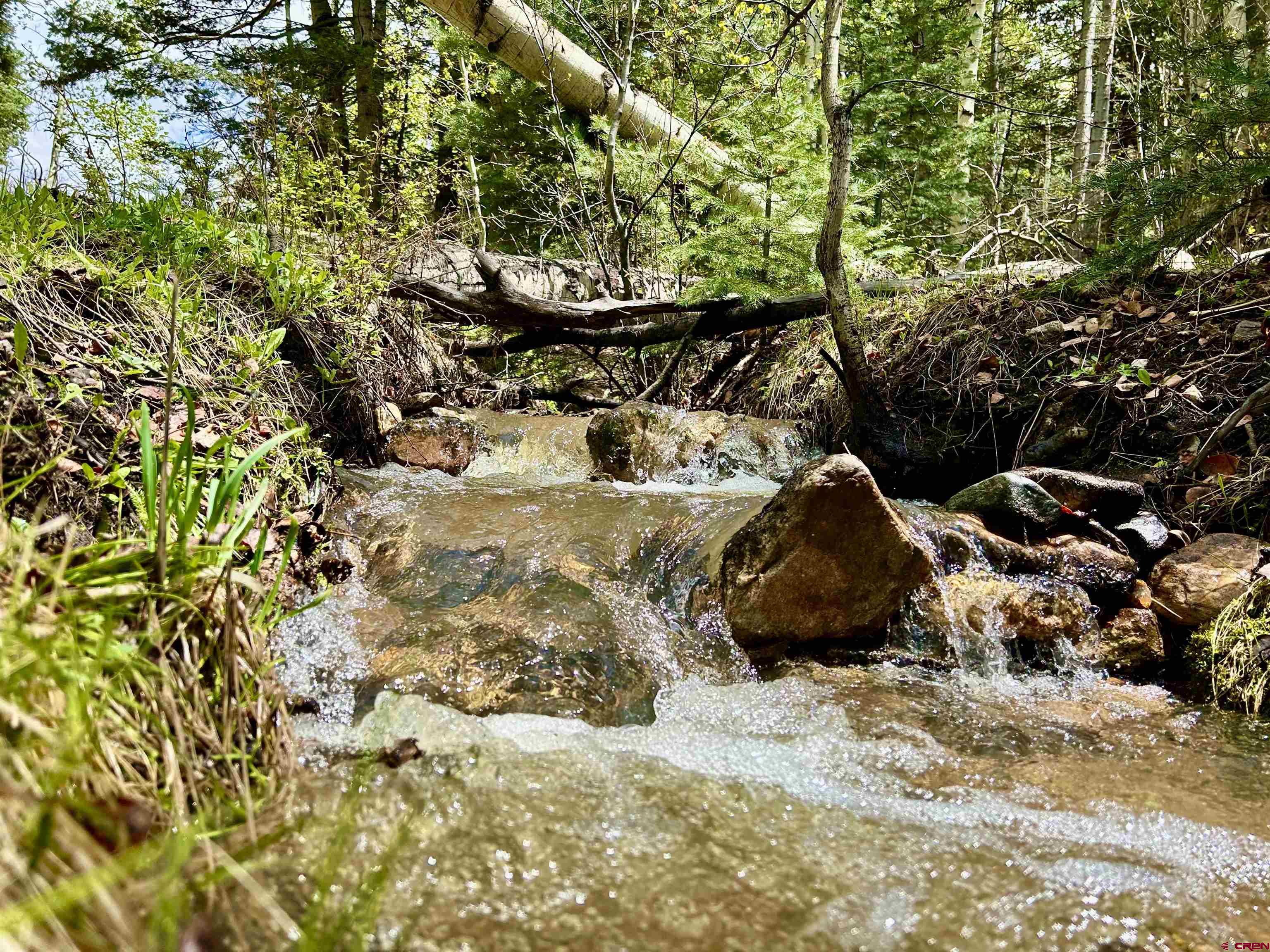 16 Arellano Road, Unit TRES CUERDAS LODGE Amalia, NM 87512 - Photo 8 of 45 a view of a backyard of the house