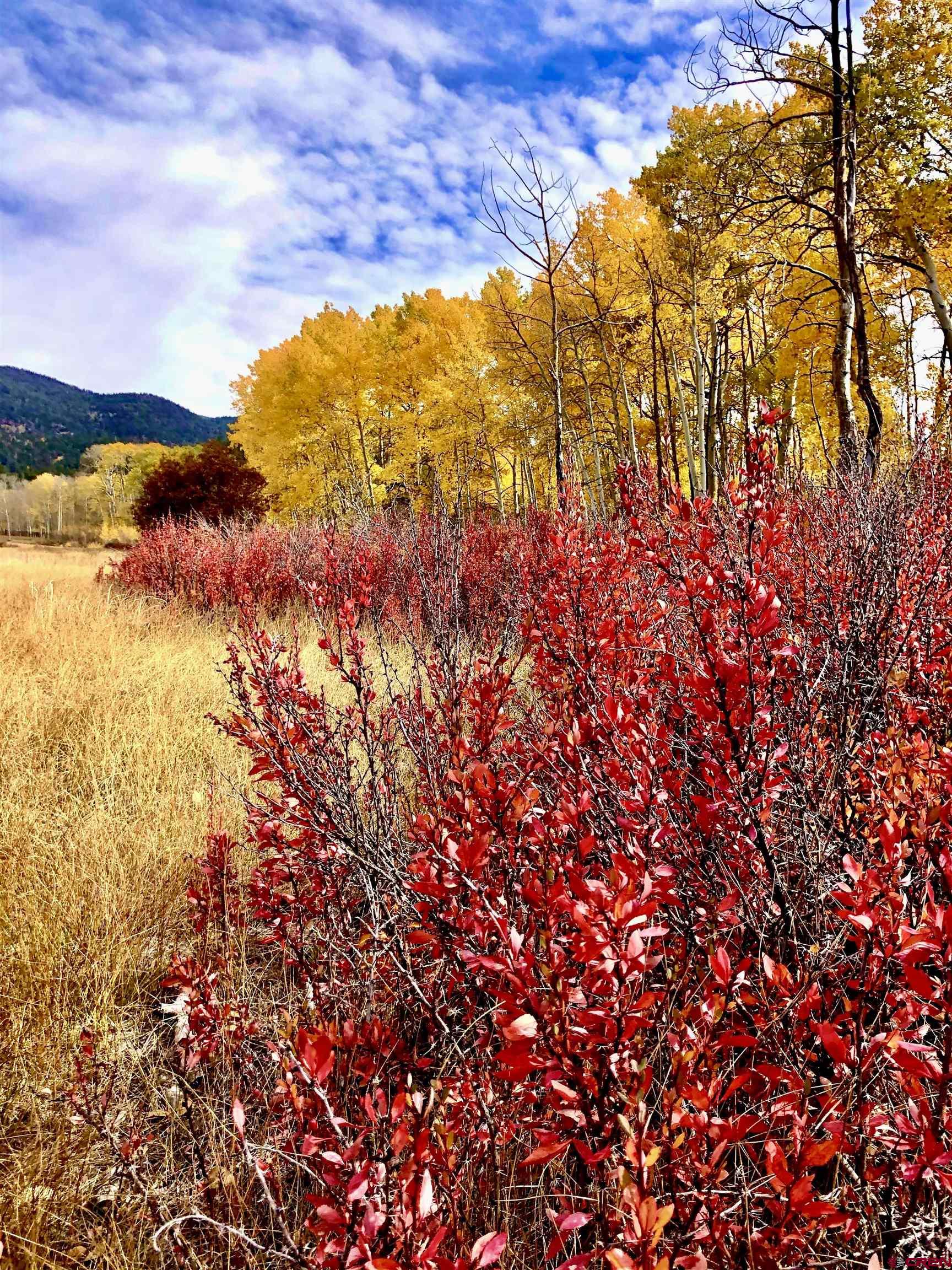 16 Arellano Road, Unit TRES CUERDAS LODGE Amalia, NM 87512 - Photo 10 of 45 a view of mountain