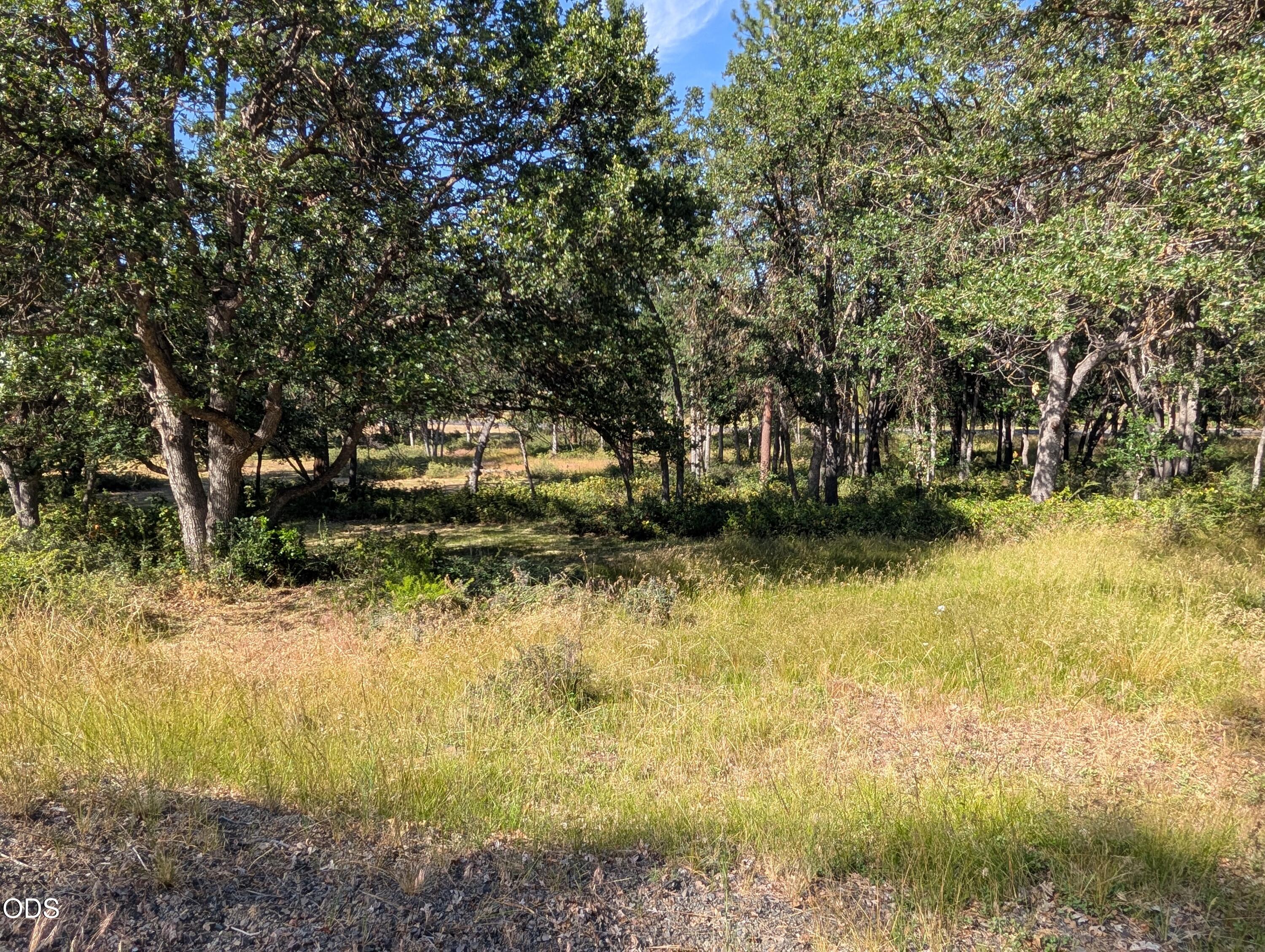 0 Cooper's Hawk Road, Unit 881 Klamath Falls, OR 97601 - Photo 2 of 7