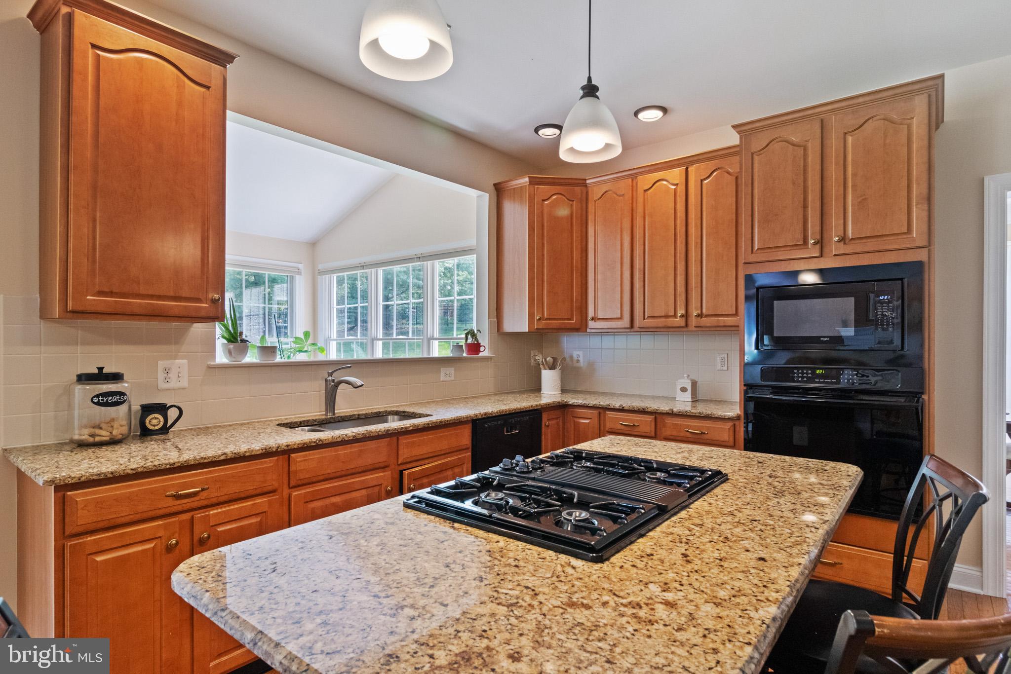 471 Springview Lane Phoenixville, PA 19460 - Photo 6 of 54 Gallery Image 6